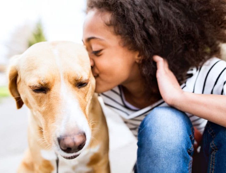 temecula pest control toxicity