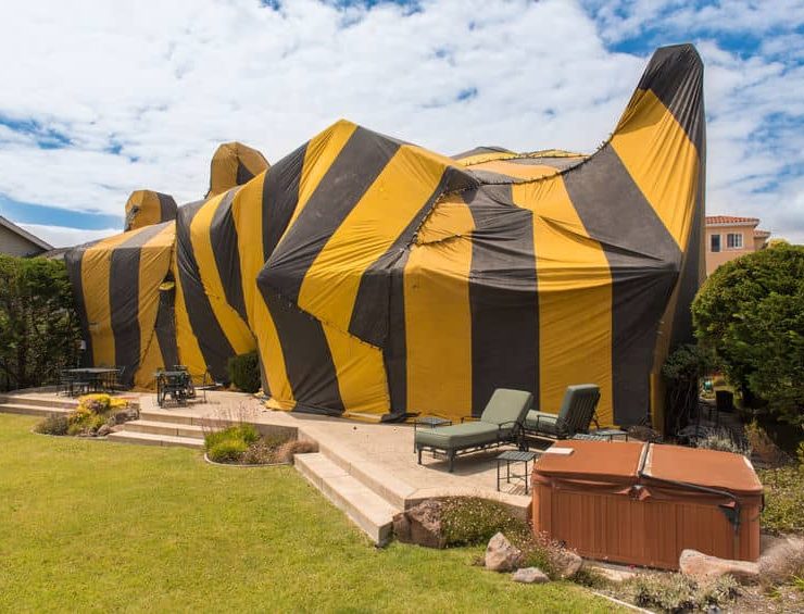 termite tenting oceanside