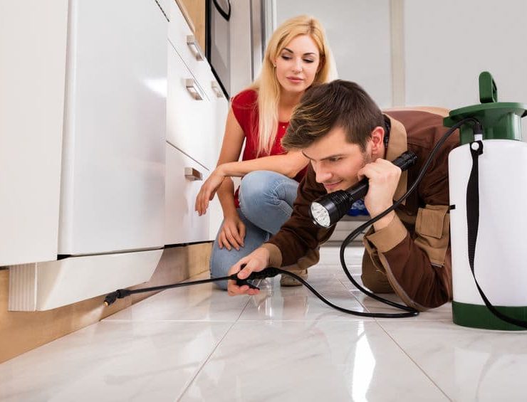 temecula pest control